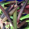 Purple okra being sold at the farmers' market