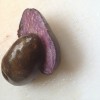Purple potatoes from Two Pigs Farm