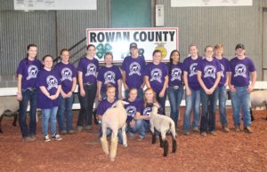 Cover photo for Sheep Show at fair for special needs youth or adults