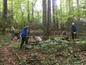 Cover photo for Meet the WNC Woodland Stewards