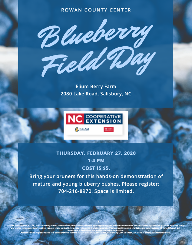 Blueberry Field Day Flyer