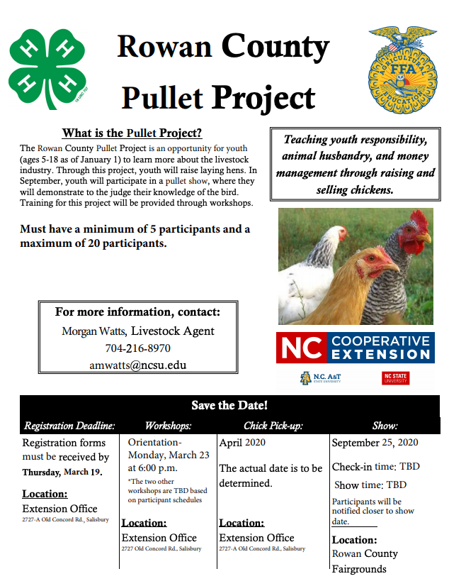 Rowan County Pullet Project Flyer