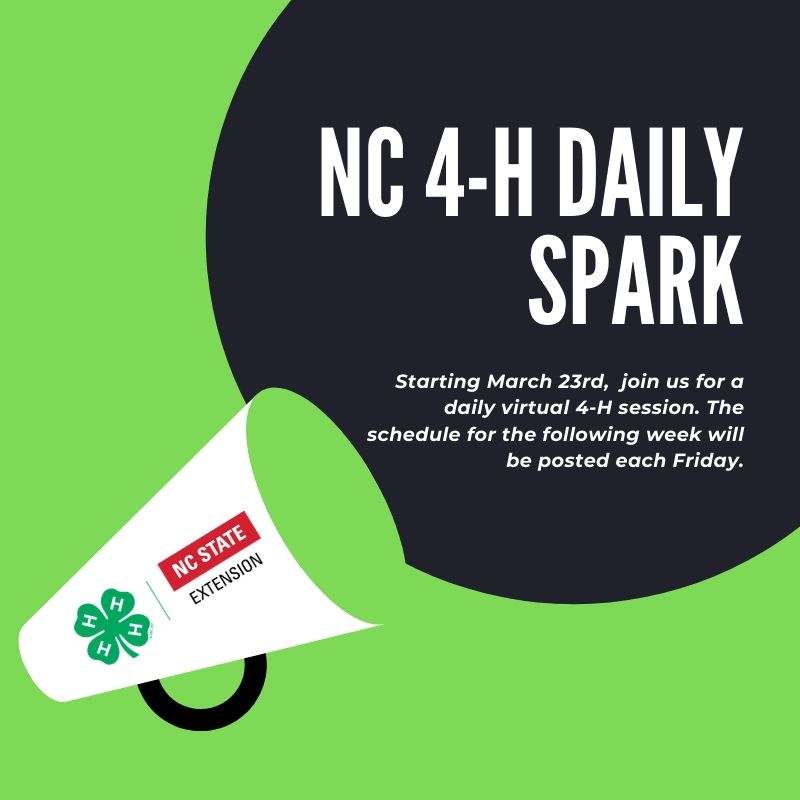 NC 4-H Daily Spark