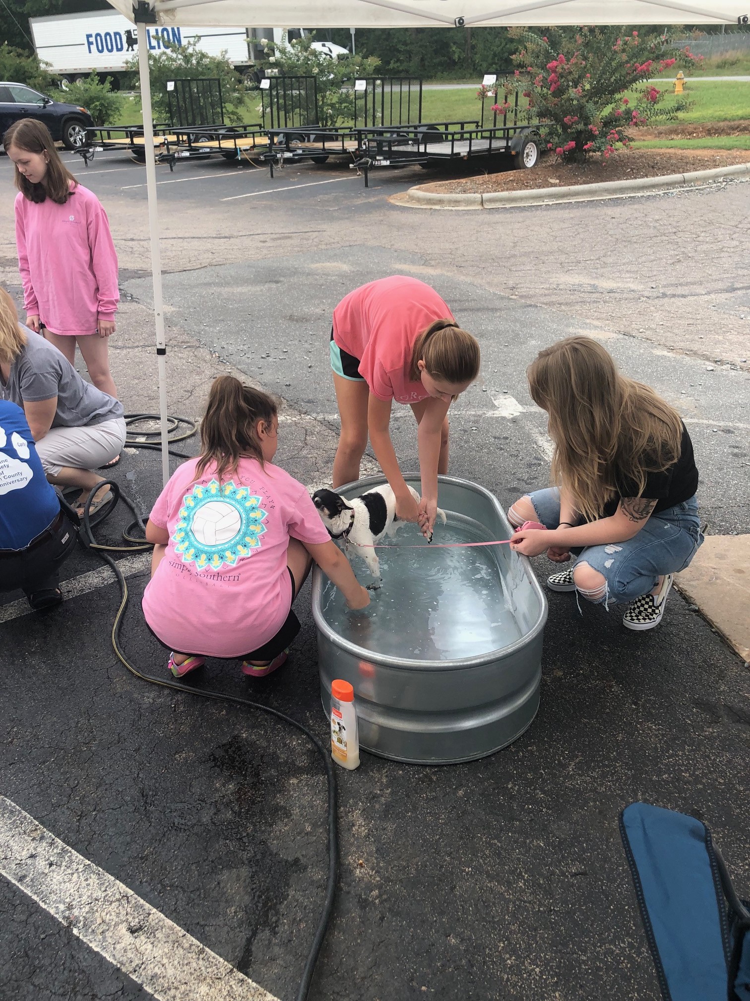 dog wash service project