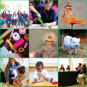 4-H Summer Fun pictures