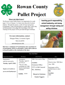 Pullet Project Flyer 1
