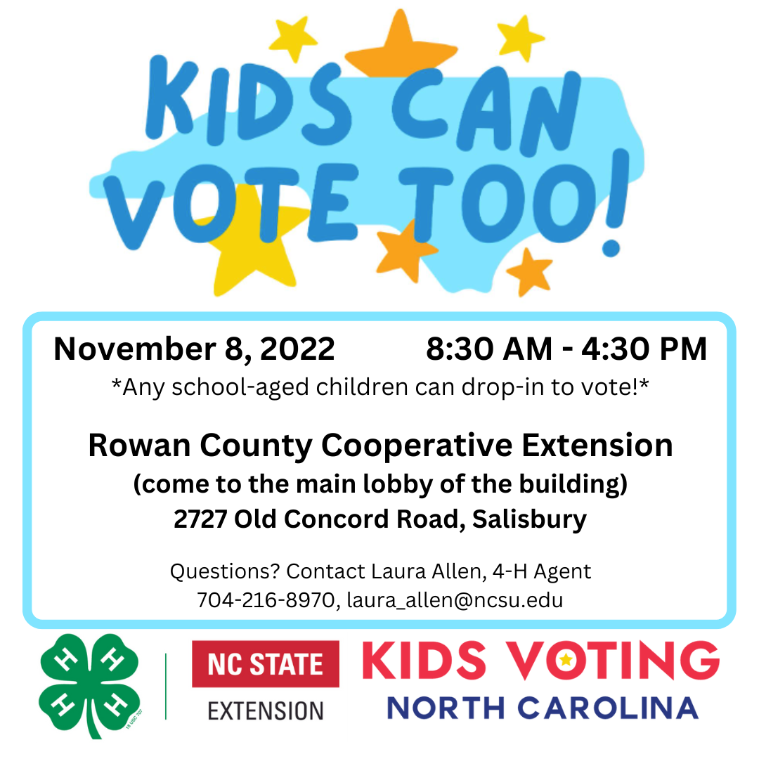Kids can vote too flyer.