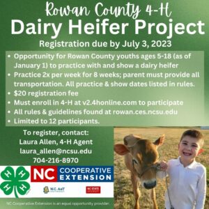 Cover photo for Rowan County 4-H Dairy Heifer Project