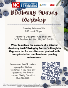 Cover photo for Blueberry Pruning Workshop