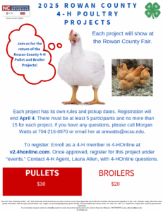 Cover photo for Rowan County 4-H Pullet & Broiler Projects