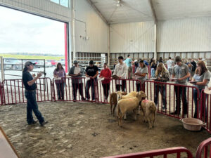 Cover photo for NC State Fair Livestock Judging & Skillathon Contest
